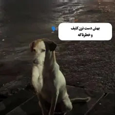 گودووووو چطوری دلتون میاد بهشون بگید خطرناک ؟🥺