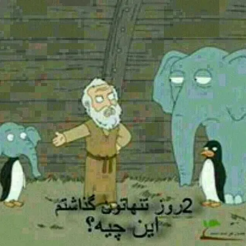 خخخخخخخ