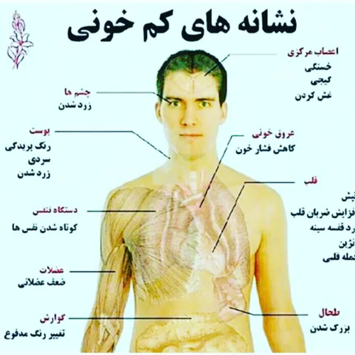 👉 نشانه های کم خونی