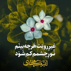 غیرِ رویَت‌ هَر چه‌ بینَم