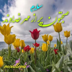 عکس نوشته ali999999 27058088