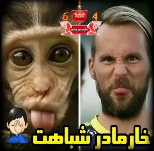 میمون نیومایره!؟ یا نیومایر میمونه؟!😐 😝