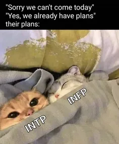 mbti INTP INFP