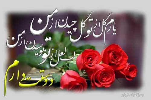 عاشقانه ها m.iranzamin061 19096561 - عکس ویسگون