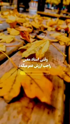 farzadqohestani 70213164