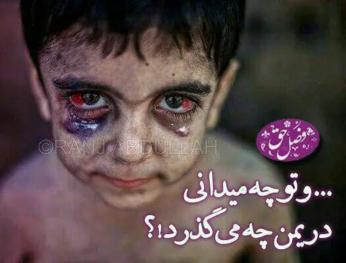 در نشست خبری با اعلام آمادگی هلال احمر ایران برای جمع آور