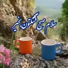 سلام صبح قشنگتون بخیروشادی.