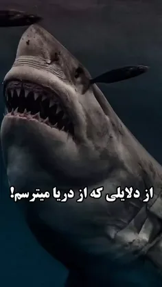 از دلایلی که دریا ترسناکه☠️