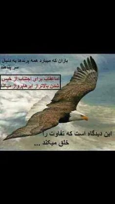 کار خدا رو میبینی