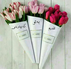 عاشقانه ها hosseinnaseri1300 23931114