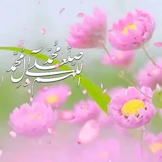 🌸امروز برای حاجت ، همه حاجت مندان 