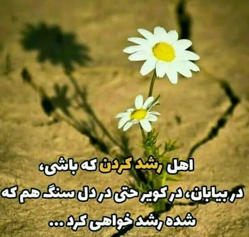 عکس نوشته ali67_66 28018705 - عکس ویسگون