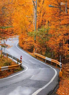 🌳🌲 تصاویر پارک جنگلی گلستان