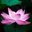 salar_z