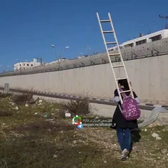 فقط یه فلسطینی باید همراه با کیف مدرسه‌ش نردبان حمل کند!!
