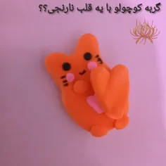 گربه کوچولو؟؟    