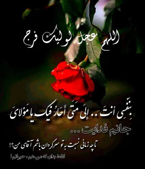 🥀 بِنَفْسِي أنتَ ... إِلَى مَتَى أَحَارُ فِيكَ یا مَوْلاى