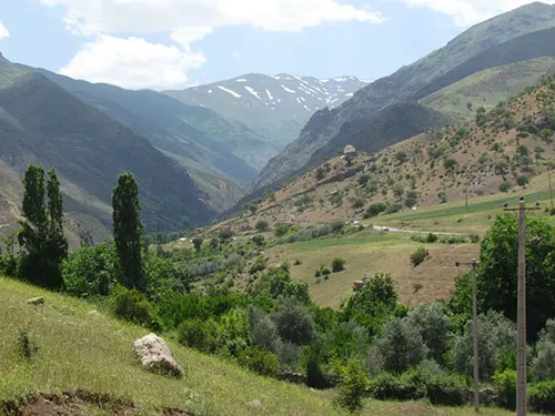 طارم، هندوستان ایران