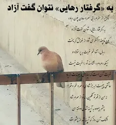 ناگزیر از سفرم، بی سر و سامان چون «باد»