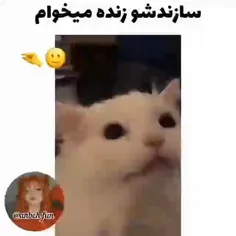 عررررررر 😂