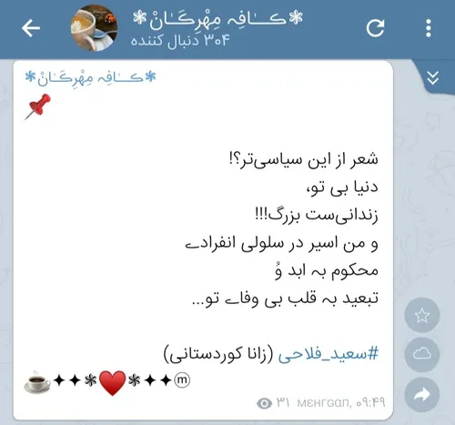 سعید فلاحی