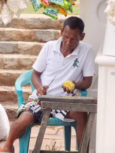 مرد آناناس فروش در سواحل سریلانکا که آناناسها رو داشت آما