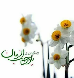 مذهبی mohsen-manteghi 34388417