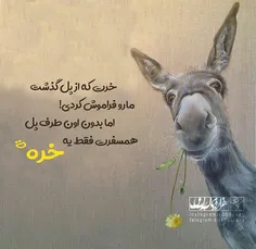 خرت که از پل گذشت