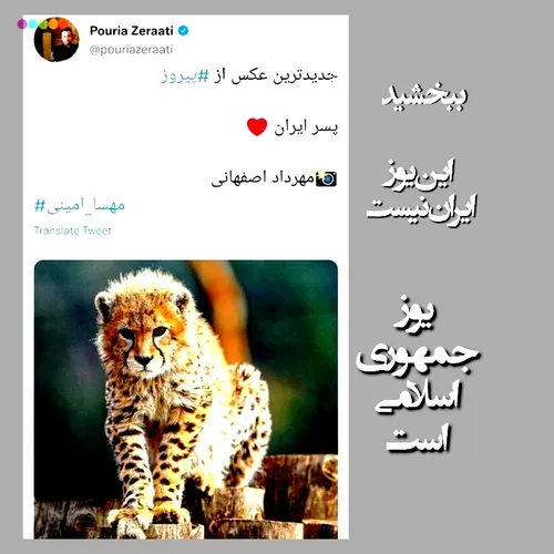 ببخشید... این یوز ایران نیست یوز جمهوری اسلامی است... ⬇️