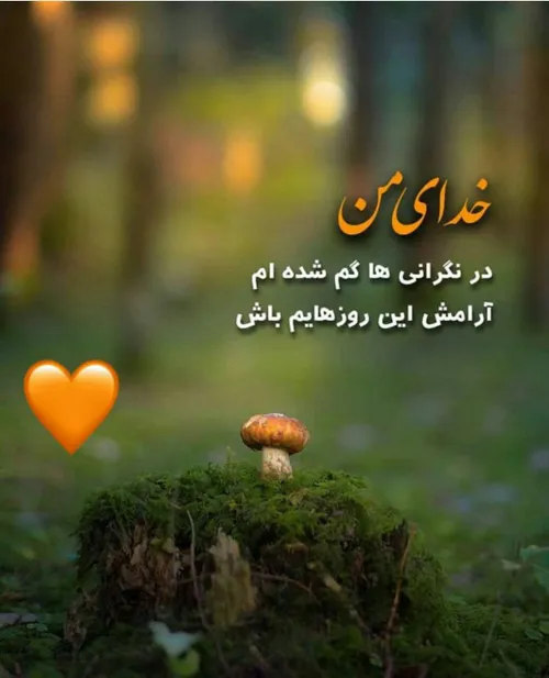 خدای من