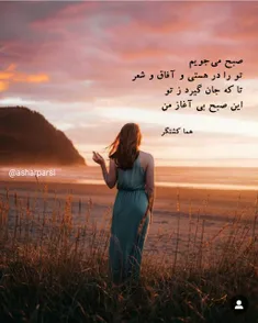 صبح می‌جویم 