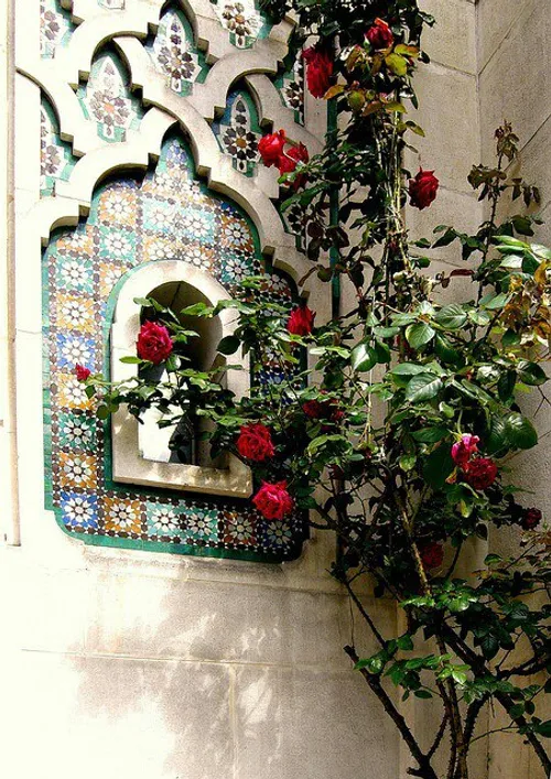 عشق زاییده ی بلخ است و مقیم شیراز
