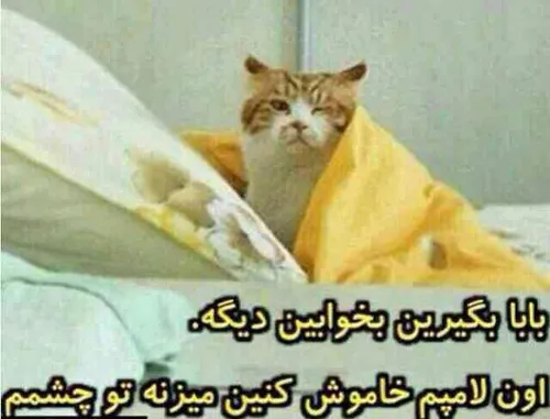 بای