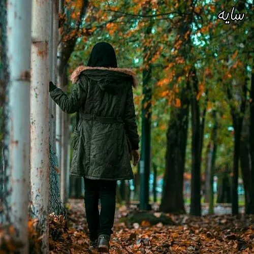 🍁 پــاییز را هم