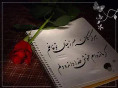 عاشقانه ها elahe_sorkh 17596962