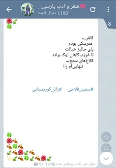 سعید فلاحی (زانا کوردستانی)