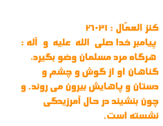 کنز العمّال : 26031  