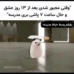 خخخخخ