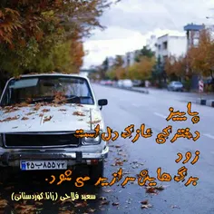 #سعید_فلاحی #سعید #فلاحی #زانا_کوردستانی #زانا #کوردستان 