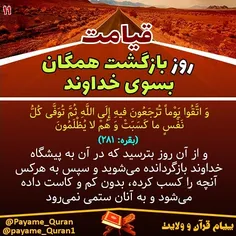 #قران#قرآن#قرآن_کریم#قران_کریم#القرآن#القران_الکریم#پیام_