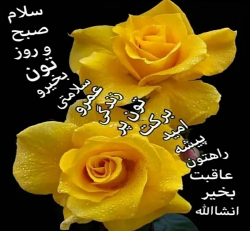 💙بسم الله الرحمن الرحیم💙