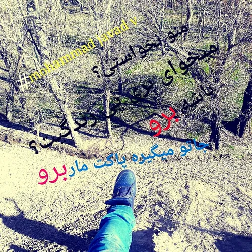 جاتو میگیره سیگاره مارلبرو