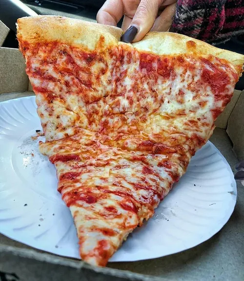 یه دختر عاقل هیچوقت عاشق پیتزا نمیشه عاشق یه مردی تو زندگ