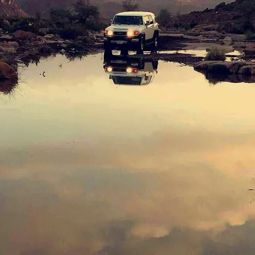 این عکس رو می بینین ...