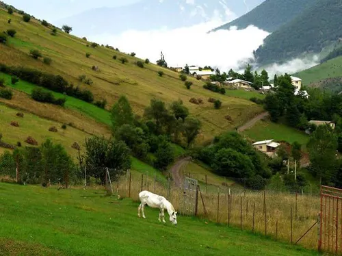 روستای کوهستانی ناتر ...مازندران شهر چالوس