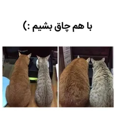 #خلاقیت #طنز*