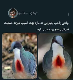 zzz.nnm 74768355