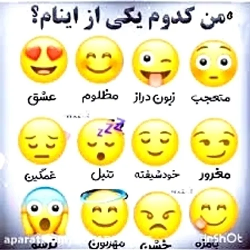  bjfjcndkx 69203104 - عکس ویسگون