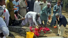 جشن بزرگ و وحشتناک «تمساح ها» در پاکستان 