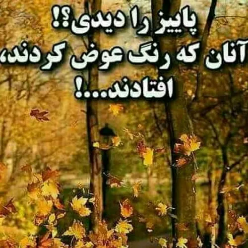 عکس نوشته foroughe 16973737 - عکس ویسگون